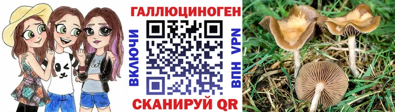 Псилоцибиновые грибы прущие грибы  закладки  blacksprut сайт  Кропоткин 