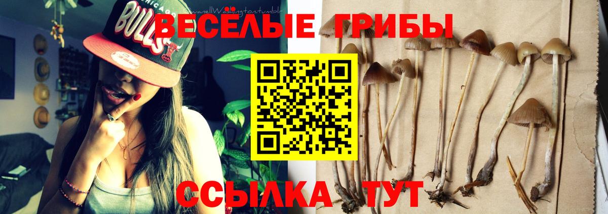 Псилоцибиновые грибы мухоморы  Вход с VPN  Кропоткин 