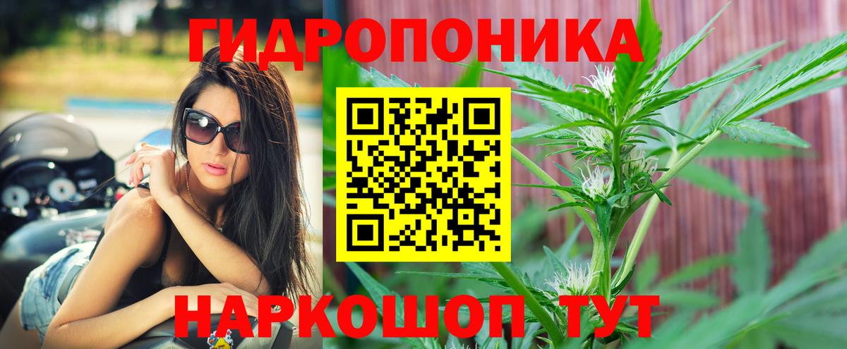 Канабис конопля Кропоткин